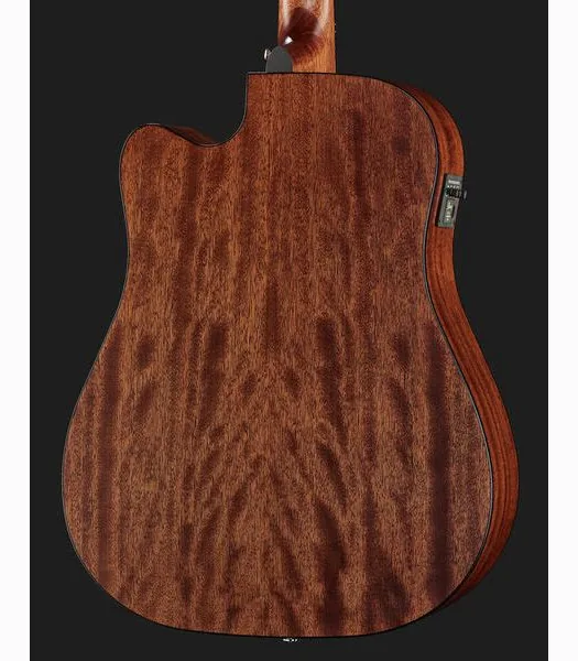Ibanez AW65ECE-LG, lähikuva 5