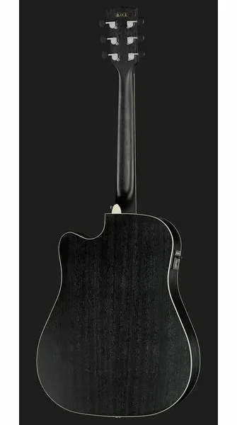 Ibanez AW84CE-WK Artwood, lähikuva 3