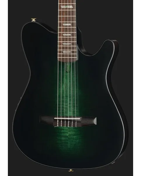 Ibanez FRH20FMN-DGL, lähikuva 4