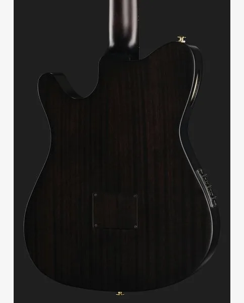 Ibanez FRH20FMN-DGL, lähikuva 5