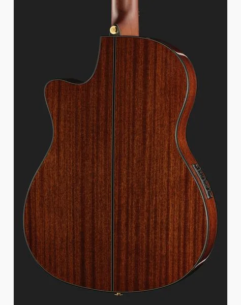 Ibanez GA35TCE-NT, lähikuva 5