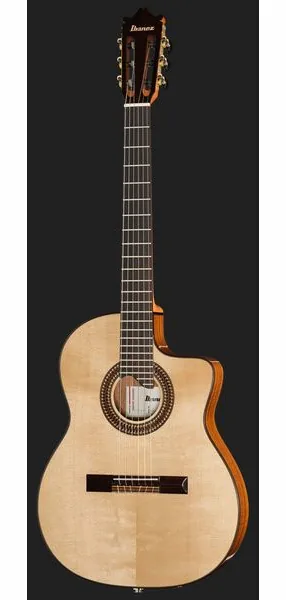 Ibanez GA360TCE-NT, lähikuva 2