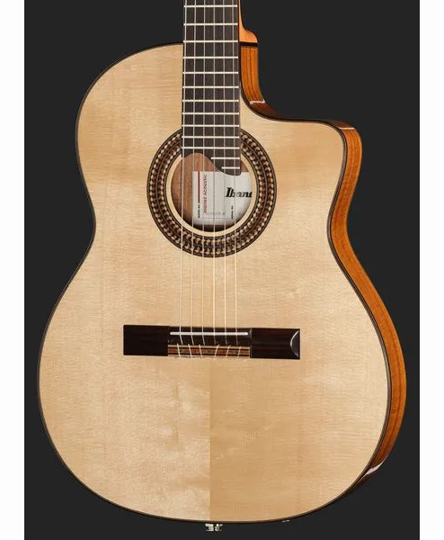 Ibanez GA360TCE-NT, lähikuva 4