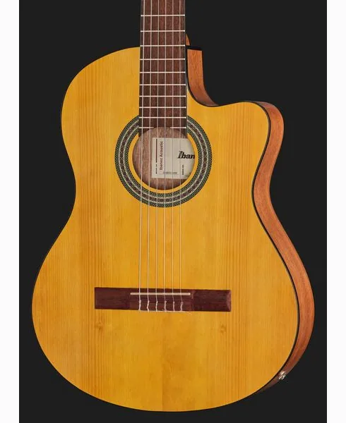 Ibanez GA3ECE-OAM, lähikuva 4