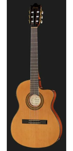 Ibanez GA5TCE-AM, lähikuva 2