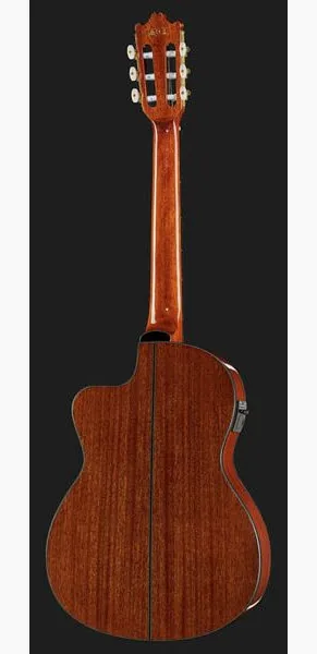 Ibanez GA5TCE-AM, lähikuva 3