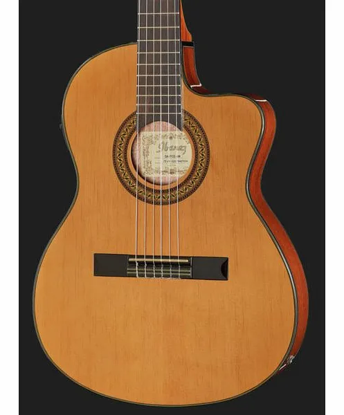 Ibanez GA5TCE-AM, lähikuva 4