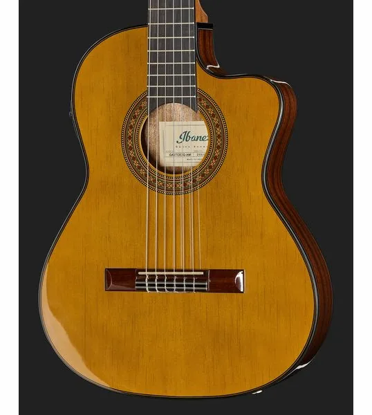 Ibanez GA5TCE3Q-AM, lähikuva 4