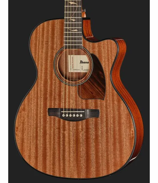 Ibanez PC34MHCE-NT, lähikuva 4