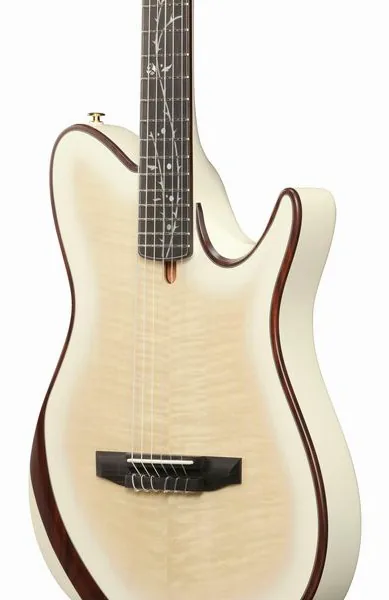 Ibanez Tim Henson TOD100FMN TMM, lähikuva 3