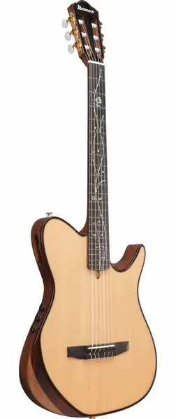 Ibanez Tim Henson TOD100N-NT, lähikuva 2