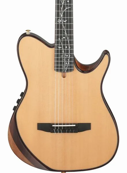 Ibanez Tim Henson TOD100N-NT, lähikuva 4