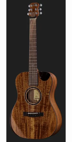 Journey Instruments OF882C Acacia Acoustic, lähikuva 2