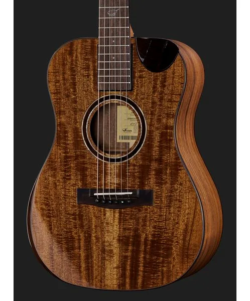 Journey Instruments OF882C Acacia Acoustic, lähikuva 4