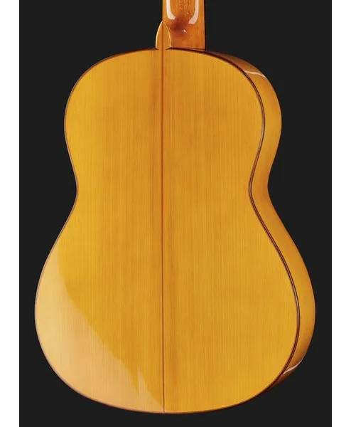 Juan Hernandez Luthier Flamenca SP, lähikuva 5