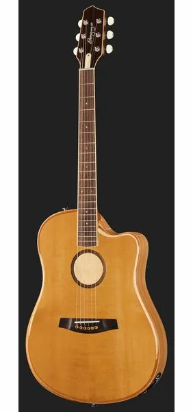 L.R.Baggs AEG 1 E-Acoustic Torrefied, lähikuva 2