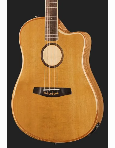 L.R.Baggs AEG 1 E-Acoustic Torrefied, lähikuva 4