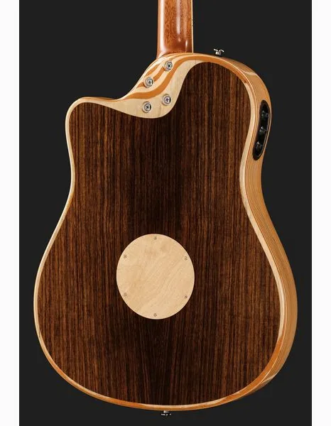 L.R.Baggs AEG 1 E-Acoustic Torrefied, lähikuva 5