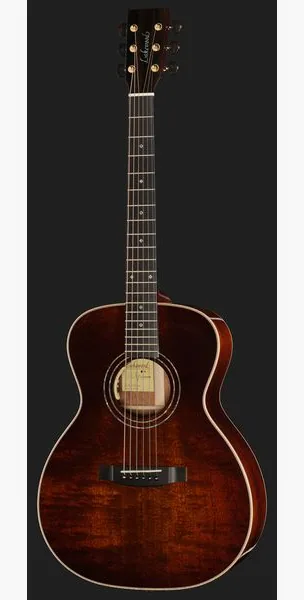 Lakewood M-15 P Deluxe, lähikuva 2