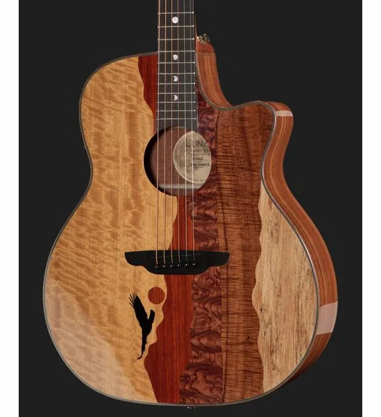 Luna Guitars Vista Eagle, lähikuva 3