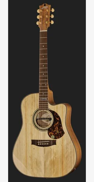 Maton EA80C, lähikuva 2