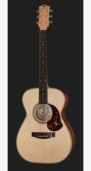 Maton EBG808A w/ Case, lähikuva 2