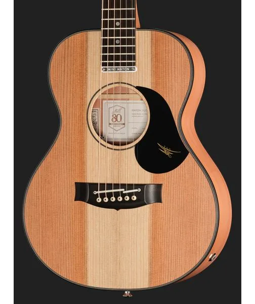 Maton RM-6 Redwood Mini, lähikuva 4