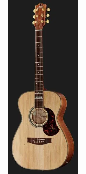 Maton The Australien EA-808, lähikuva 2