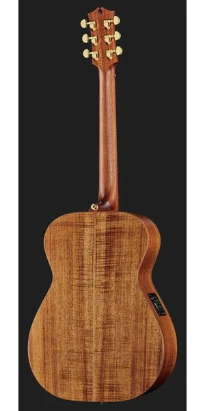 Maton The Australien EA-808, lähikuva 3