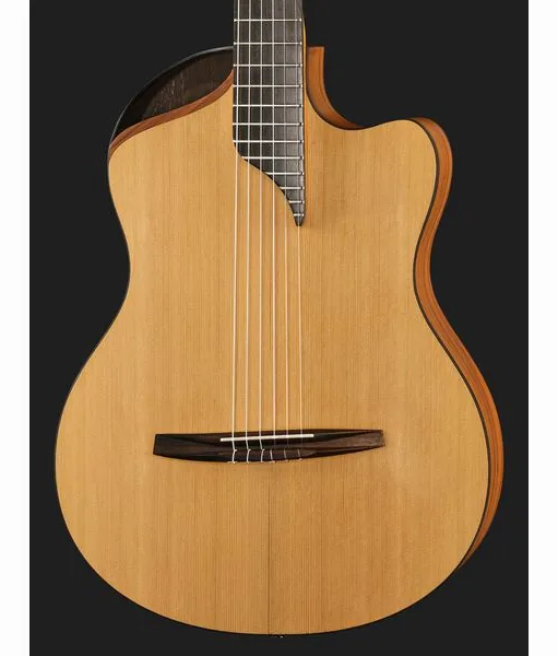 NOVA Guitars Innovator w/PU, lähikuva 4
