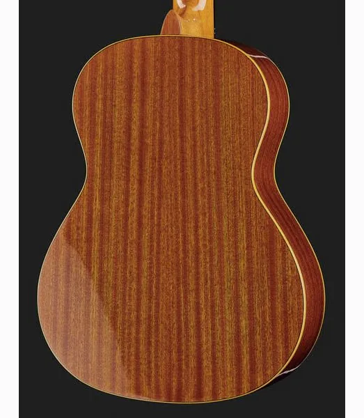 Ortega R122G-3/4, lähikuva 5