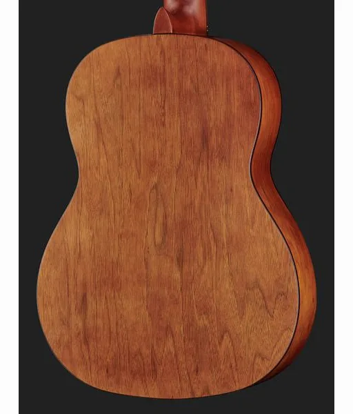 Ortega R55DLX-BFT, lähikuva 5