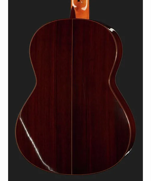 Ramirez Sencillo Spruce, lähikuva 5