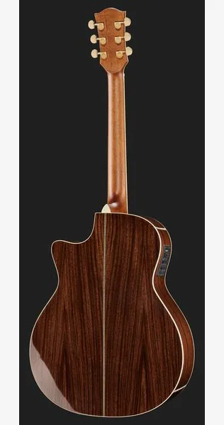 Richwood G-70 CE VA, lähikuva 3