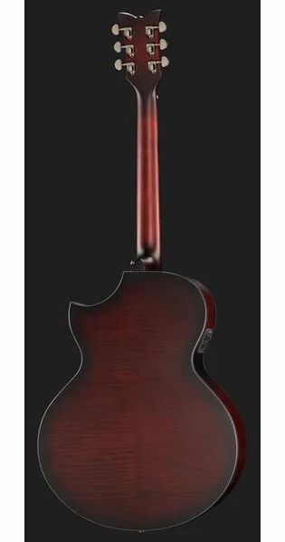 Schecter Orleans Stage Acoustic VRBS, lähikuva 3