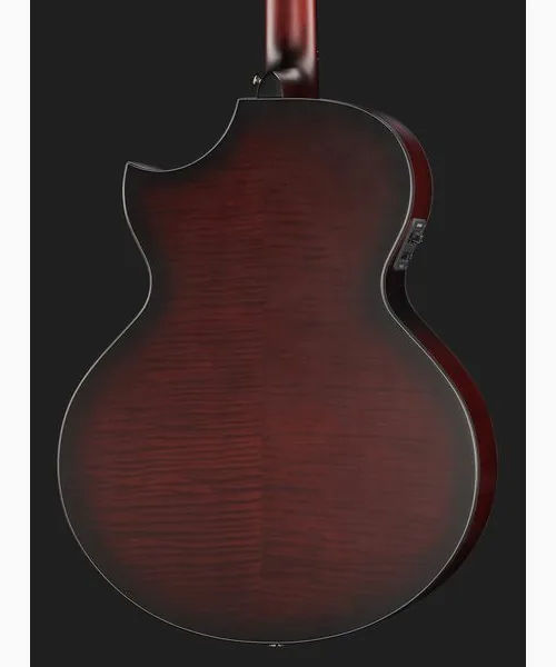 Schecter Orleans Stage Acoustic VRBS, lähikuva 5