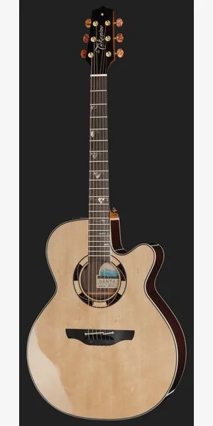 Takamine DSF48C, lähikuva 2