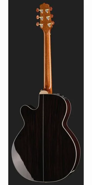 Takamine DSF48C, lähikuva 3