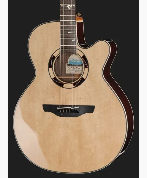 Takamine DSF48C, lähikuva 4