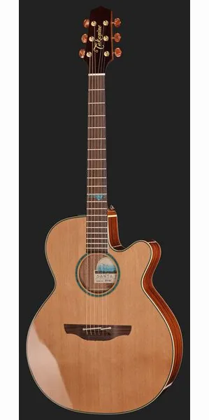 Takamine FSF40C, lähikuva 2