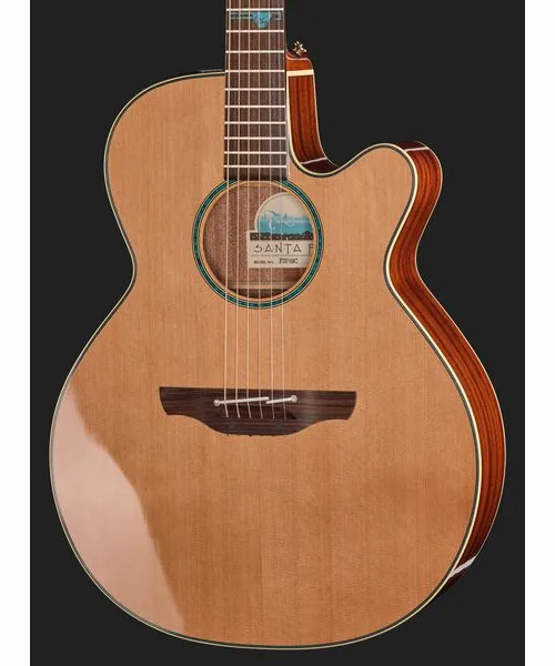Takamine FSF40C, lähikuva 4