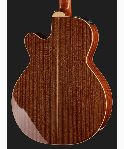 Takamine FSF40C, lähikuva 5