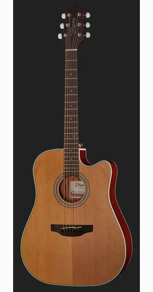 Takamine GD20CE-N, lähikuva 2