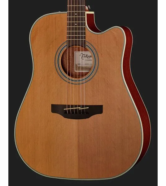 Takamine GD20CE-N, lähikuva 4