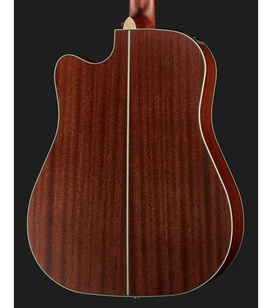 Takamine GD20CE-N, lähikuva 5
