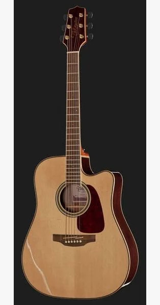 Takamine GD93CE, lähikuva 2