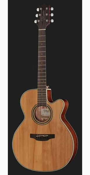 Takamine GN20CE-N, lähikuva 2