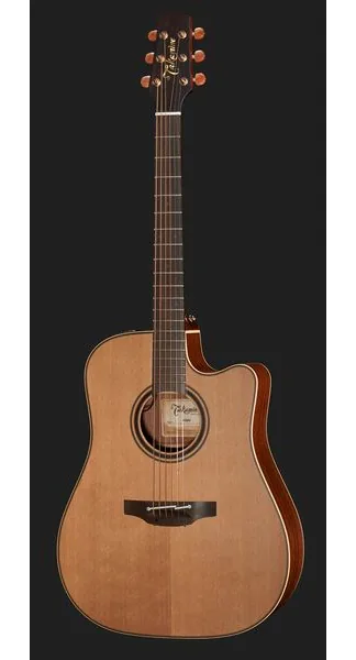Takamine P3DC w/Softcase, lähikuva 2