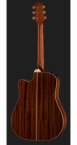Takamine P3DC w/Softcase, lähikuva 3