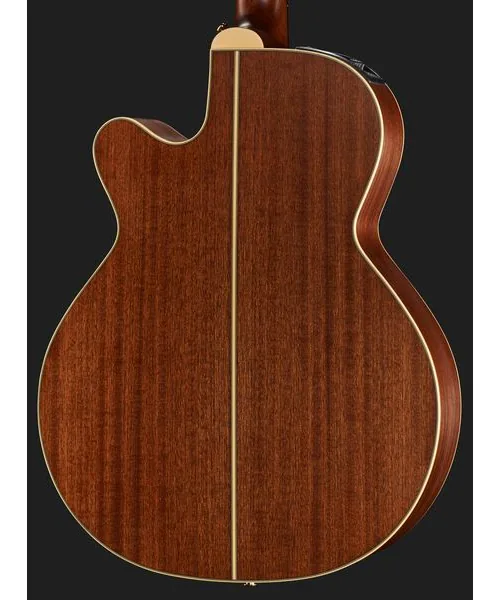 Takamine P3NC Pro Series w/Softcase, lähikuva 5